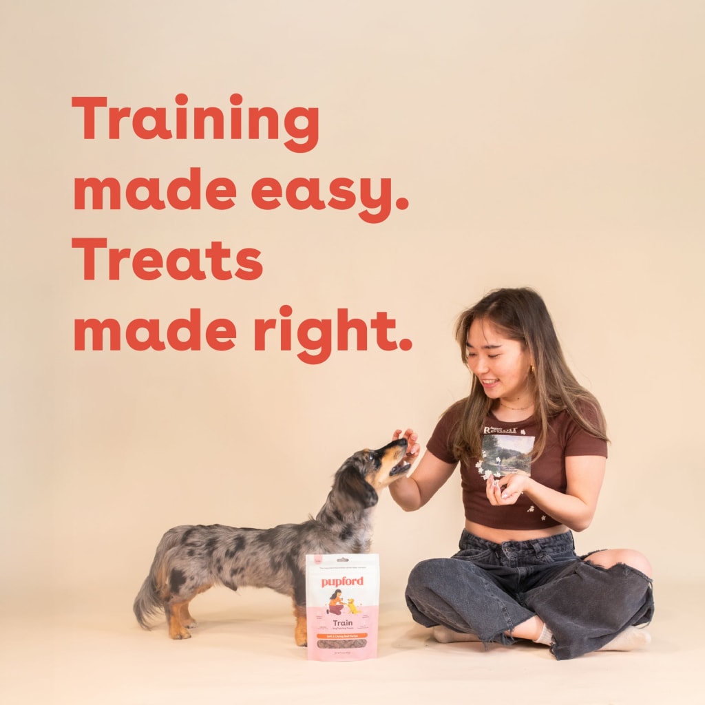 soft-and-chewy-beef-training-treats