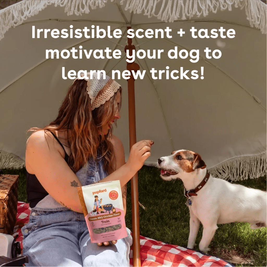 soft-and-chewy-beef-training-treats