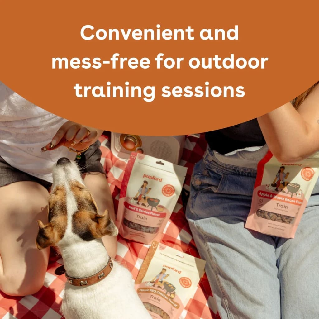 soft-and-chewy-beef-training-treats