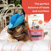 soft-and-chewy-beef-training-treats