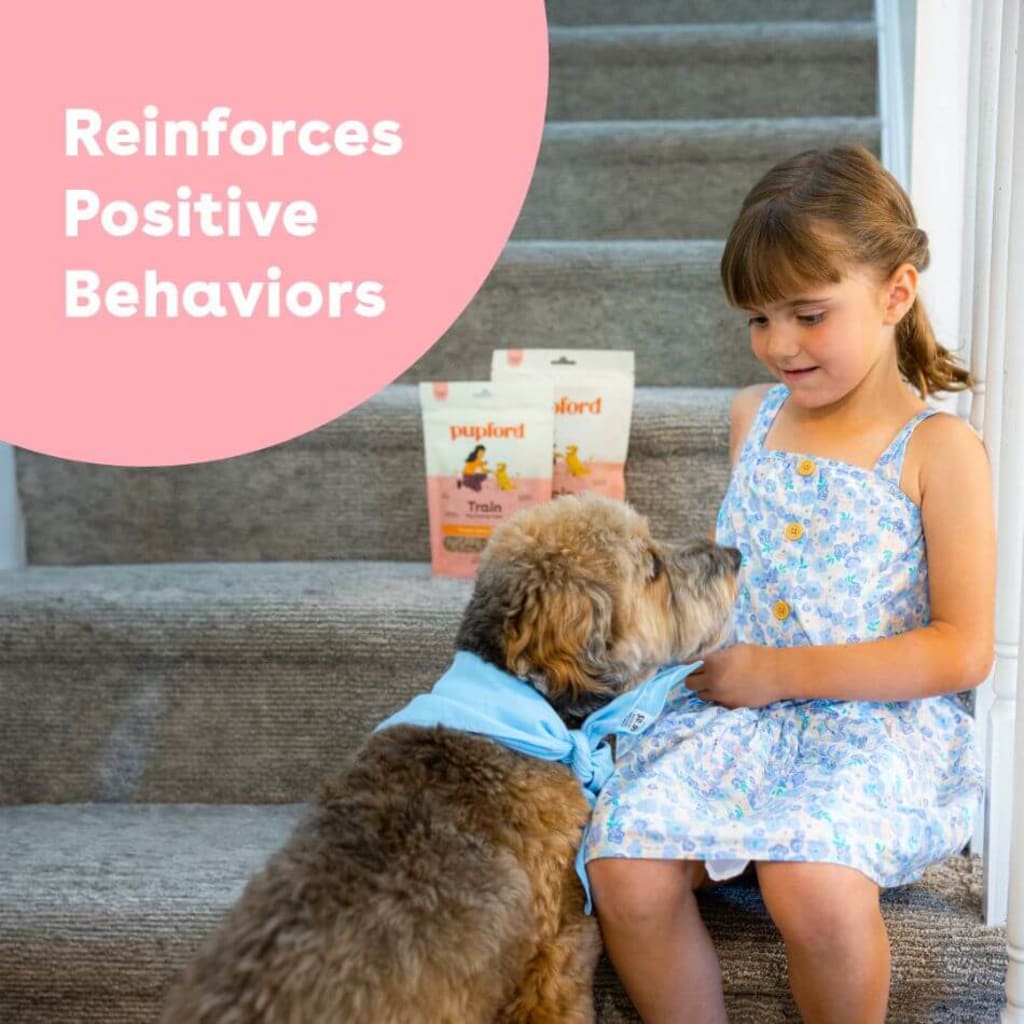 soft-and-chewy-beef-training-treats