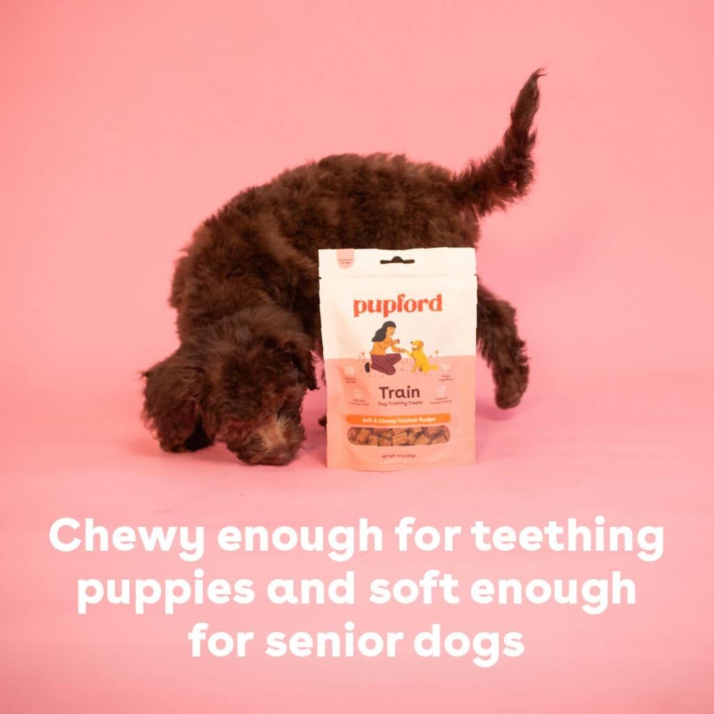 soft-and-chewy-beef-training-treats